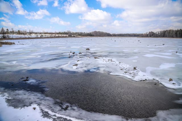 صورة من Valens Lake: مسارات غابة وممر فوق الأرض الرطبة، ٨ من ١٣