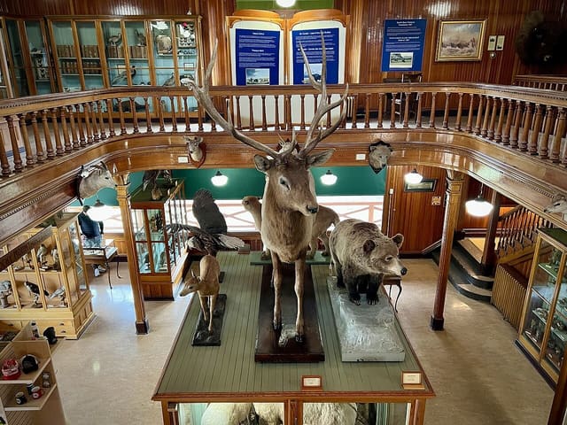 صورة من Banff Park Museum: تاريخ الطبيعة في مبنى خشبي، ٦ من ٩
