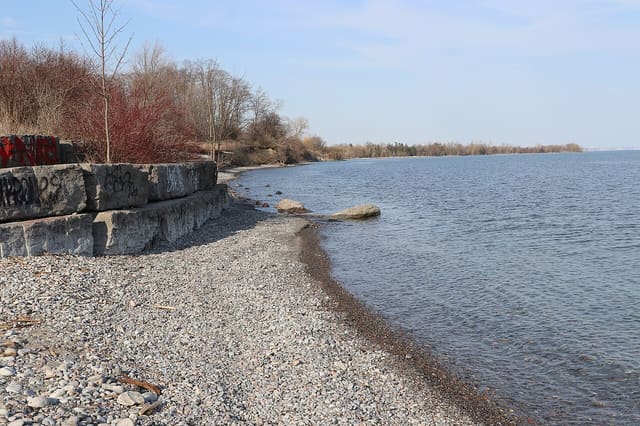 صورة من Rotary Park | Ajax Waterfront: مشي على واجهة Ajax المائية، ٨ من ١٠