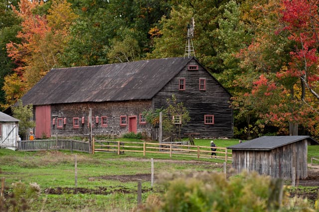 صورة من Village Québécois d'Antan: قرية كيبيكية من القرن التاسع عشر، ٣ من ١٨