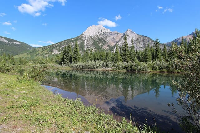 صورة من Mount Lorette Ponds: مشي حول البرك وانعكاسات الجبل، ٥ من ١٩