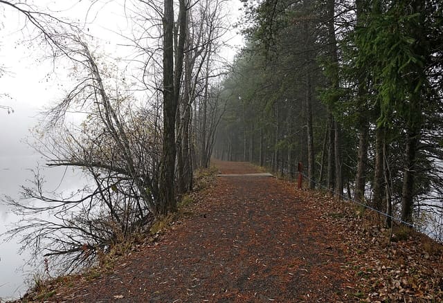 صورة من بستان Mont-Saint-Bruno: قطف التفاح داخل منتزه وطني، ٣ من ٢٢