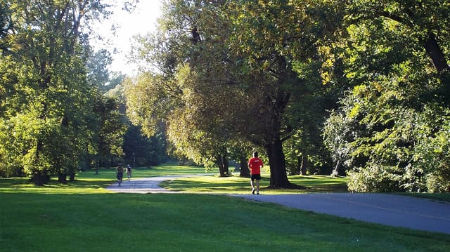 صورة من Parc Maisonneuve: مساحات خضراء ومسار للمشي، ٤ من ١٥
