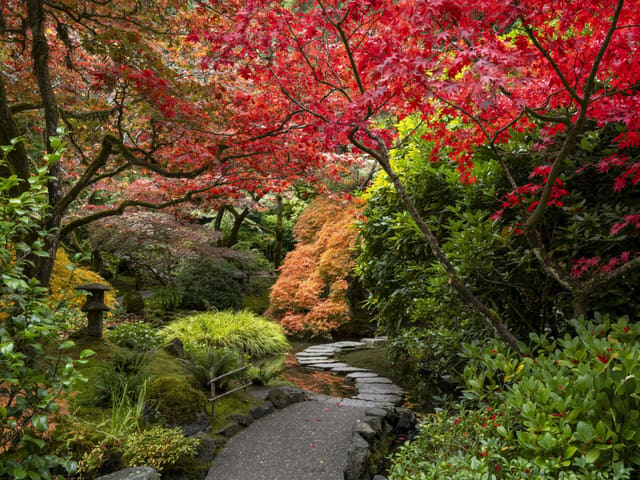 صورة من The Butchart Gardens: حدائق وألوان الخريف، ١ من ٢