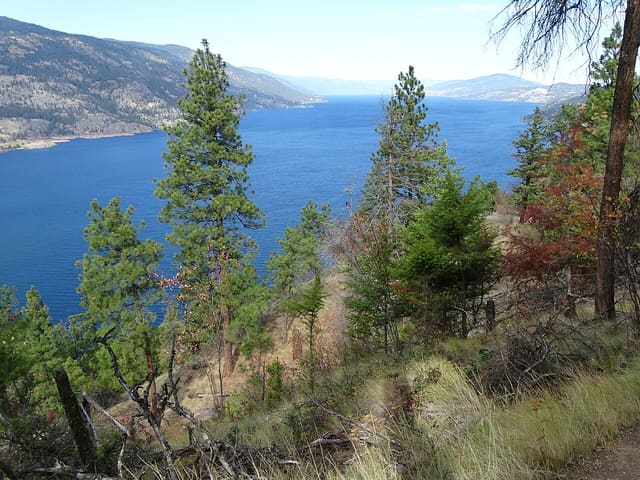 صورة من Knox Mountain Park: مسارات وإطلالات على Kelowna، ٢ من ٣