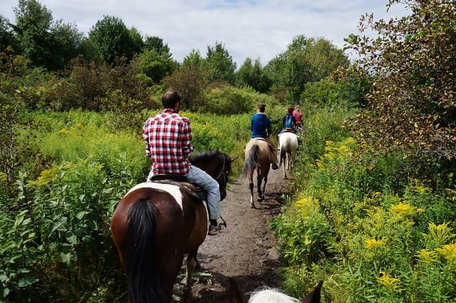 صورة من Ranch Liberté: ركوب الخيل بين الأشجار، ٣ من ١٤