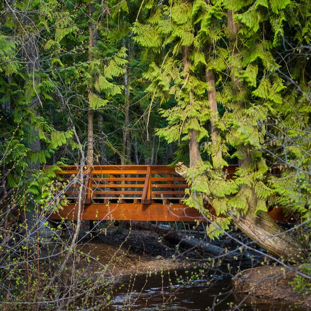 صورة من Mill Creek Regional Park: مشي مظلل إلى الشلال، ٢ من ٣