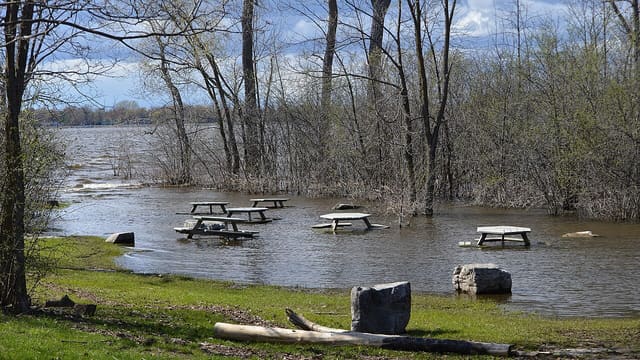 صورة من Parc-nature du Bois-de-l'Île-Bizard: إطلالة على البحيرة وشواء قرب الماء، ٧ من ١٥