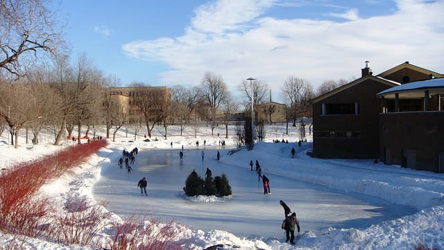 صورة من Parc La Fontaine: برك ونزهات في حي البلاتو، ٤ من ٢٣
