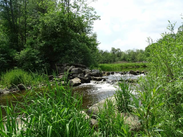 صورة من Crooks Hollow: آثار مطاحن ومسار على Spencer Creek، ٥ من ٦