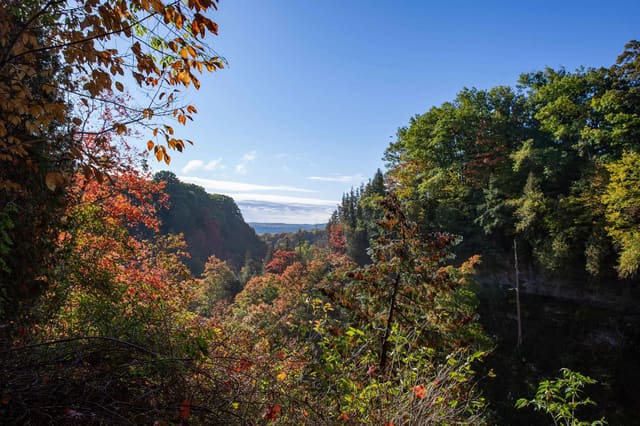 صورة من Tew Falls وDundas Peak: شلال وإطلالة على الوادي، ٤ من ١١