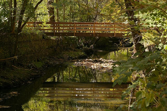 صورة من Taylor Creek Park: مشي في وادي Taylor Massey، ١ من ٢٣