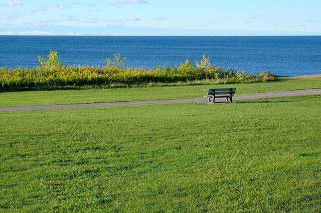 صورة من Rotary Park | Ajax Waterfront: مشي على واجهة Ajax المائية، ٥ من ١٠