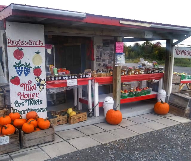 صورة من Paradis des Fruits: قطف فواكه في Dunham، ١ من ٧
