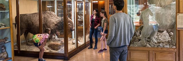 صورة من Banff Park Museum: تاريخ الطبيعة في مبنى خشبي، ٤ من ٩
