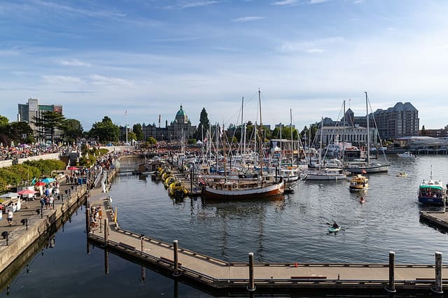 صورة من Inner Harbour: نزهة على Lower Causeway، ٥ من ١٣