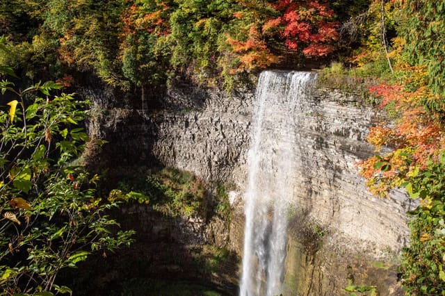 صورة من Tew Falls وDundas Peak: شلال وإطلالة على الوادي، ٣ من ١١