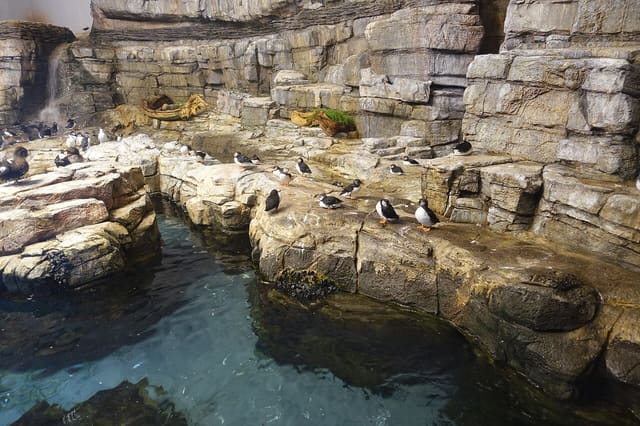 صورة من Biodôme: خمسة أنظمة بيئية وبطاريق تحت قبة واحدة، ٢ من ١٥