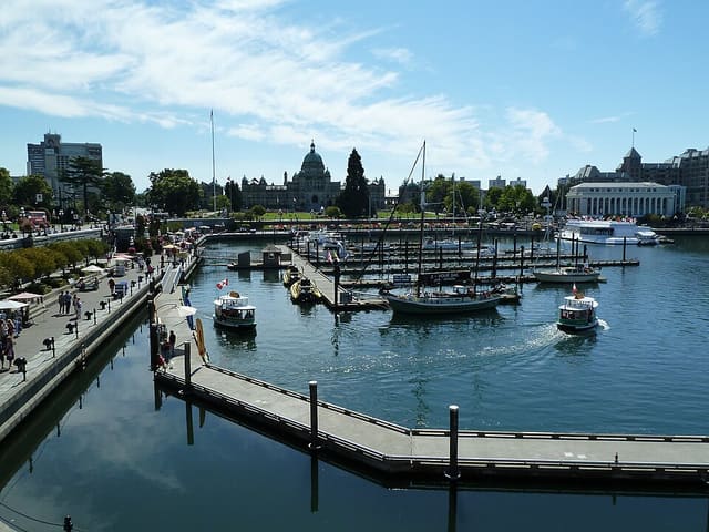 صورة من Inner Harbour: نزهة على Lower Causeway، ٣ من ١٣