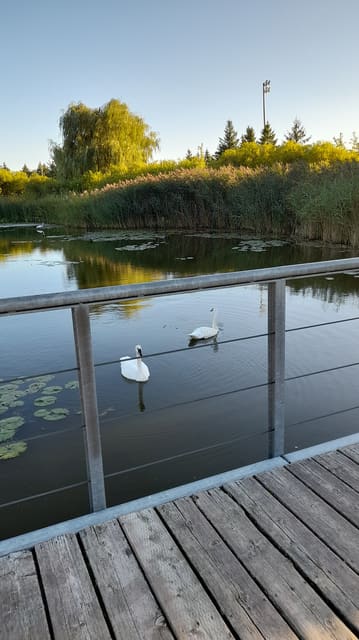 صورة من Richmond Green Park: حدائق ومسار تراثي في Richmond Hill، ٨ من ٩