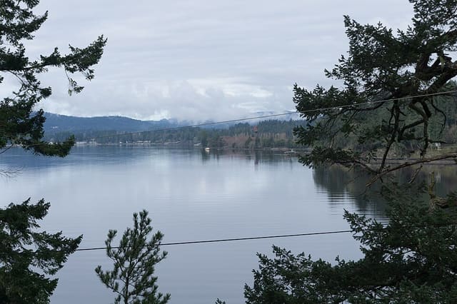 صورة من Roche Cove: خليج ومسارات في الغابة، ٣ من ٥