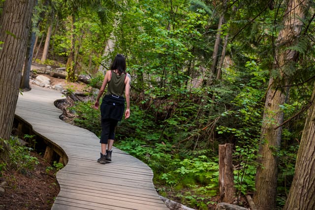 صورة من Mill Creek Regional Park: مشي مظلل إلى الشلال، ٣ من ٣