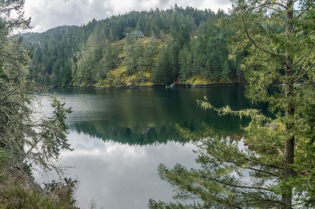 صورة من Matheson Lake: بحيرة ومسار غابي دائري، ٨ من ١١