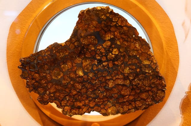 صورة من Planétarium: عروض القبة السماوية عند محطة Viau، ٧ من ١٥
