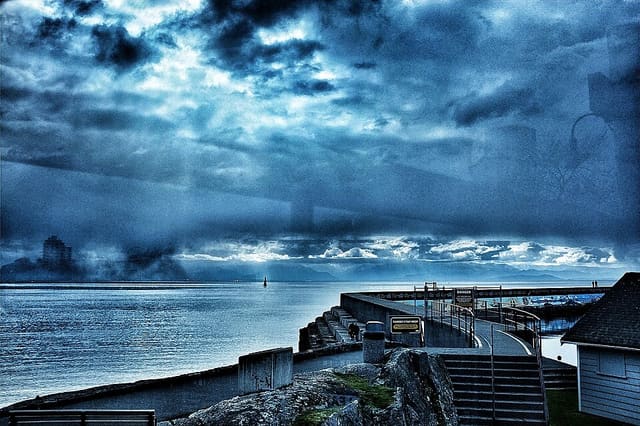 صورة من Ogden Point Breakwater: مشي إلى المنارة وفنون ساحلية، ٥ من ١٩