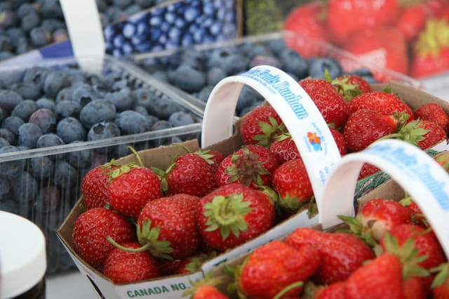 صورة من Paradis des Fruits: قطف فواكه في Dunham، ٣ من ٧