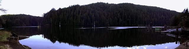 صورة من Gowlland Tod: غابة وممشى إلى Tod Inlet، ٤ من ٥
