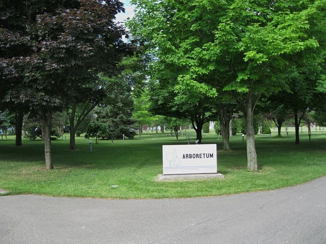 صورة من Parc René-Lévesque: منحوتات وإطلالات على الماء، ٨ من ٢٥