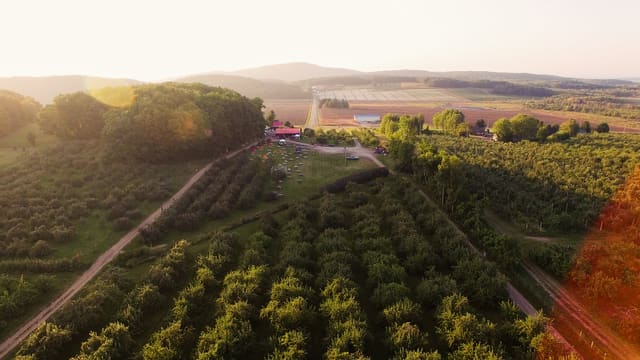 صورة من Labonté de la Pomme: قطف التفاح ومعصرة عصير في Oka، ٢ من ٢١