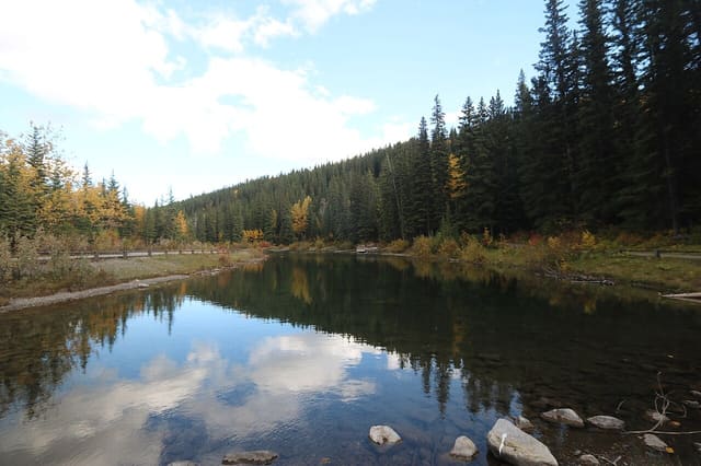 صورة من Mount Lorette Ponds: مشي حول البرك وانعكاسات الجبل، ٣ من ١٩