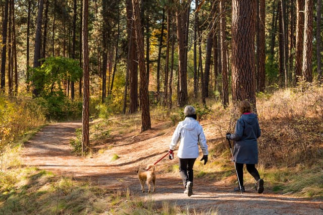 صورة من Mission Creek Regional Park: غابة وملعب وقناة أسماك، ٢ من ٣