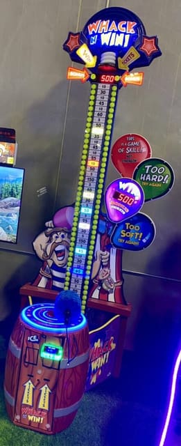 صورة من Big Fun Inflatable Park: ألعاب نفخ ومسارات تحدٍّ، ٨ من ٢٥