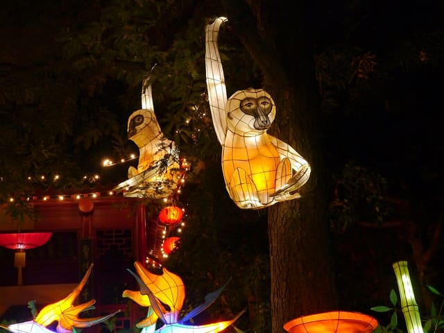 صورة من Jardins de lumière: فوانيس الحديقة النباتية ليلاً، ٧ من ١٦