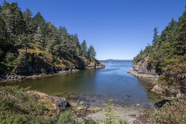 صورة من Roche Cove: خليج ومسارات في الغابة، ٥ من ٥