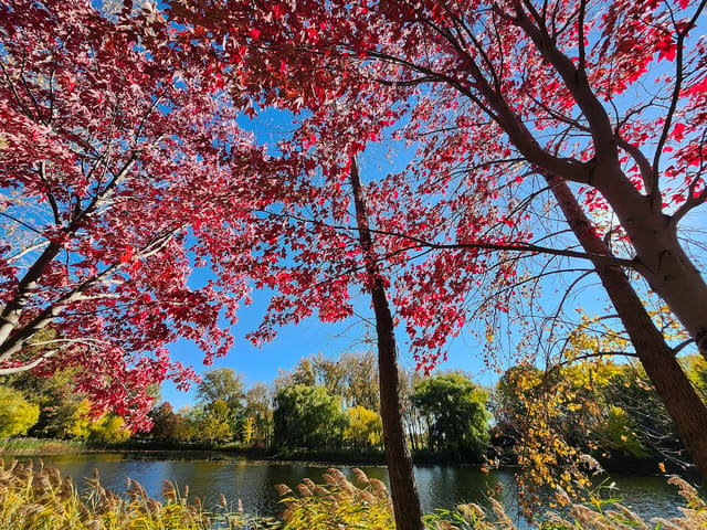 صورة من Parc Angrignon: غابة وبحيرة ونزهات، ١ من ١٠