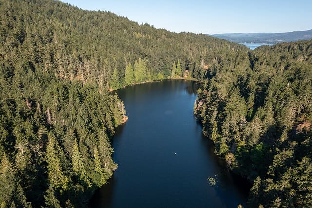 صورة من Matheson Lake: بحيرة ومسار غابي دائري، ٣ من ١١