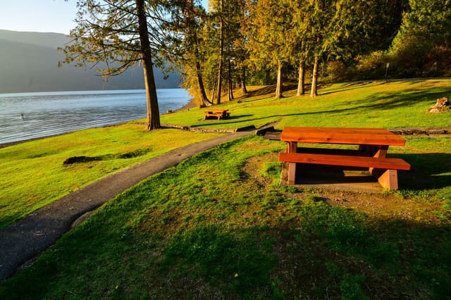 صورة من Cultus Lake Park: نزهة وممر قصير عند Maple Bay، ١ من ١