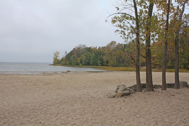 صورة من Cap-Saint-Jacques: مزرعة بيئية وغابة على Lac des Deux Montagnes، ١ من ١٦