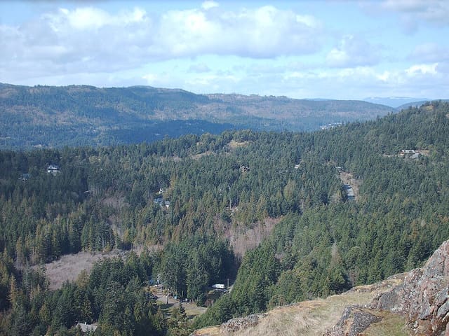 صورة من Lone Tree Hill: صعود إلى قمة تطل على Highlands، ٦ من ٦
