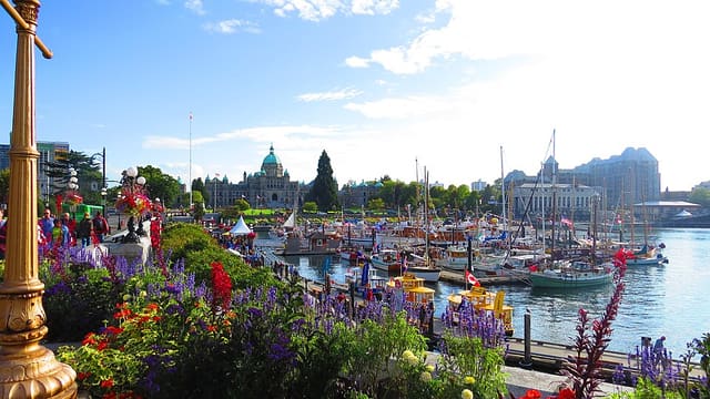 صورة من Inner Harbour: نزهة على Lower Causeway، ٢ من ١٣