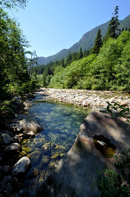 صورة من Lynn Headwaters Regional Park: غابة ومشي بمحاذاة Lynn Creek، ١ من ١