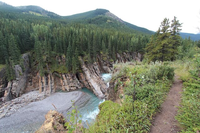 صورة من Sheep River Falls: شلال ونزهة في Sheep River، ٣ من ٤