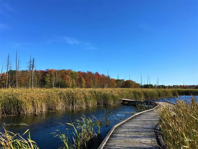 صورة من Valens Lake: مسارات غابة وممر فوق الأرض الرطبة، ١ من ١٣