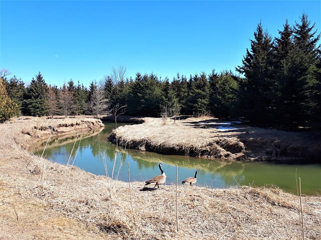 صورة من Fairy Lake Park: مشي حول البحيرة وجسورها، ٤ من ٦