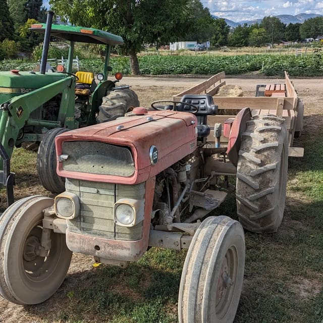 صورة من McMillan Farms: يقطين ومتاهة ذرة وجولة مزرعة، ٣ من ٣