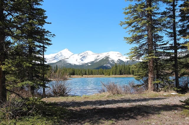 صورة من Forgetmenot Pond: بركة جبلية ونزهة قصيرة، ٦ من ١٦